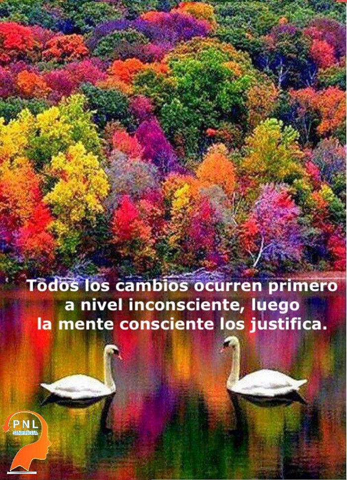 Cambios inconsciente con hipnosis 
