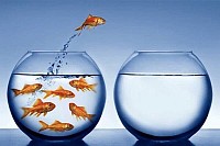Optimiza tu vida con hipnosis 